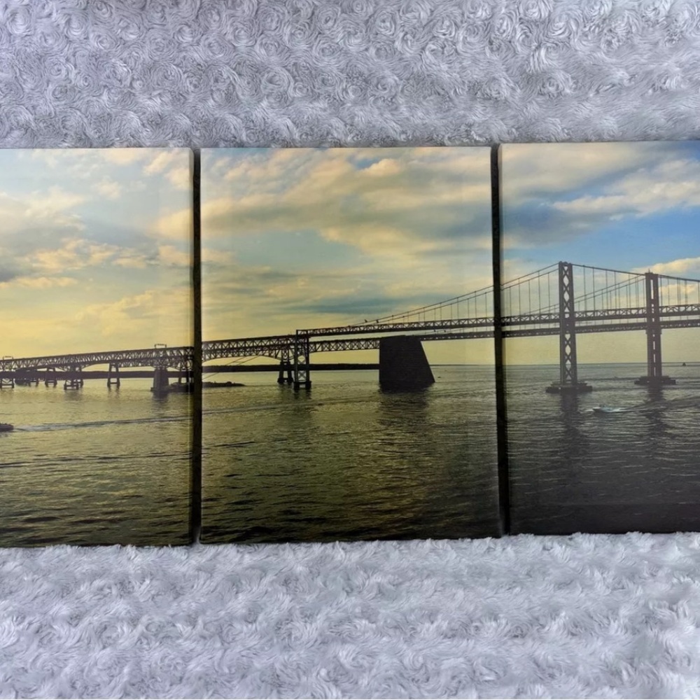 3 Piece Bridge Canvas Display Wall Decor